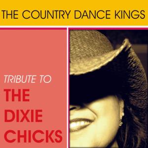 ดาวน์โหลดและฟังเพลง Travelin' Soldier พร้อมเนื้อเพลงจาก Country Dance Kings