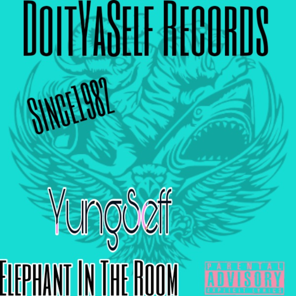 Elephant In The Room (Explicit)
