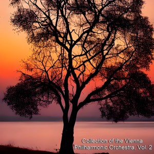 收听Vienna Philharmonic Orchestra的II. Adagio歌词歌曲