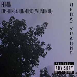 Fomin的專輯ДЕНАТУРАЦИЯ (Explicit)