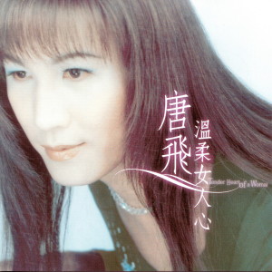 Listen to 英雄好漢 song with lyrics from 唐飛