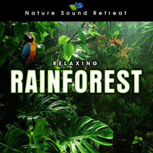 Relaxing Rainforest for Meditation & Relaxation