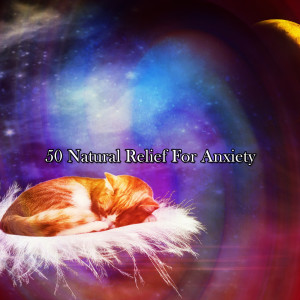 Album 50 Natural Relief For Anxiety oleh Baby Nap Time