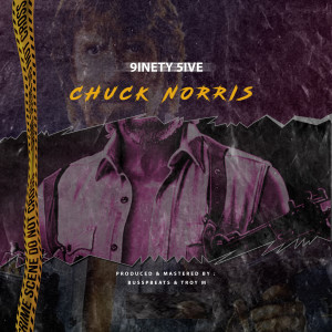 Dengarkan Chuck Norris (Explicit) lagu dari 9inety5ive dengan lirik