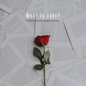 Album What Is Love from DR. SWING