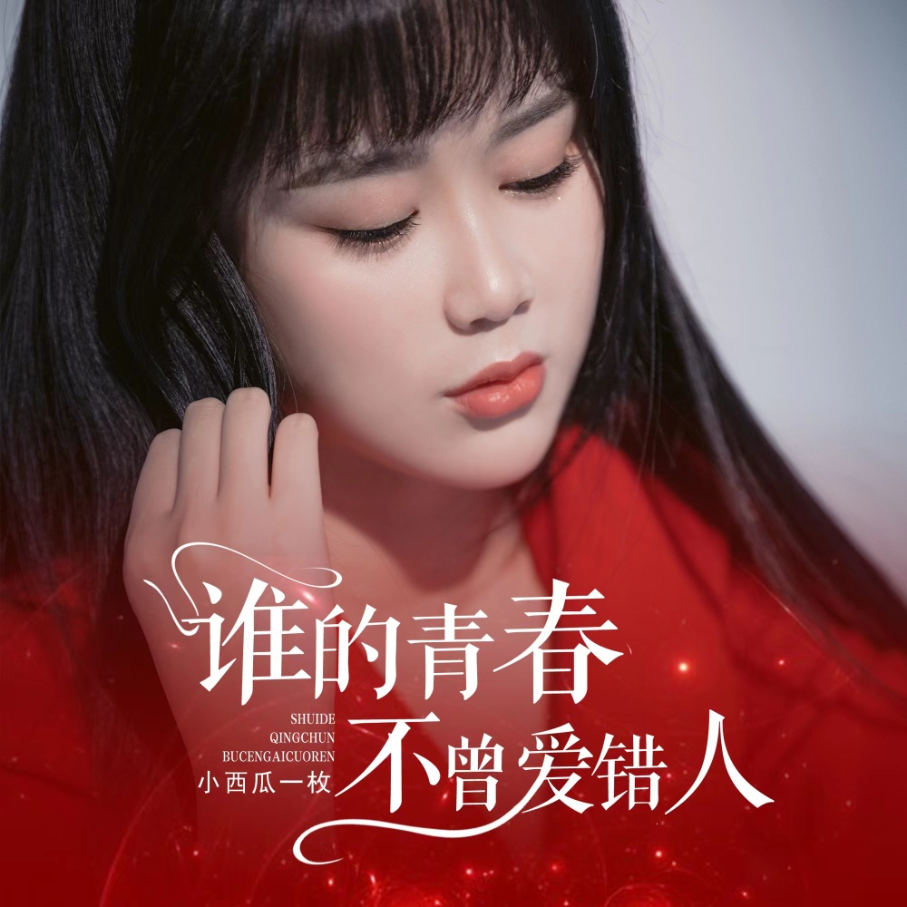谁的青春不曾爱错人 (伴奏)