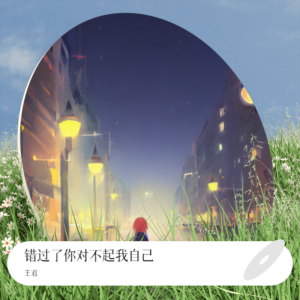 Album 错过了你对不起我自己 from 王君