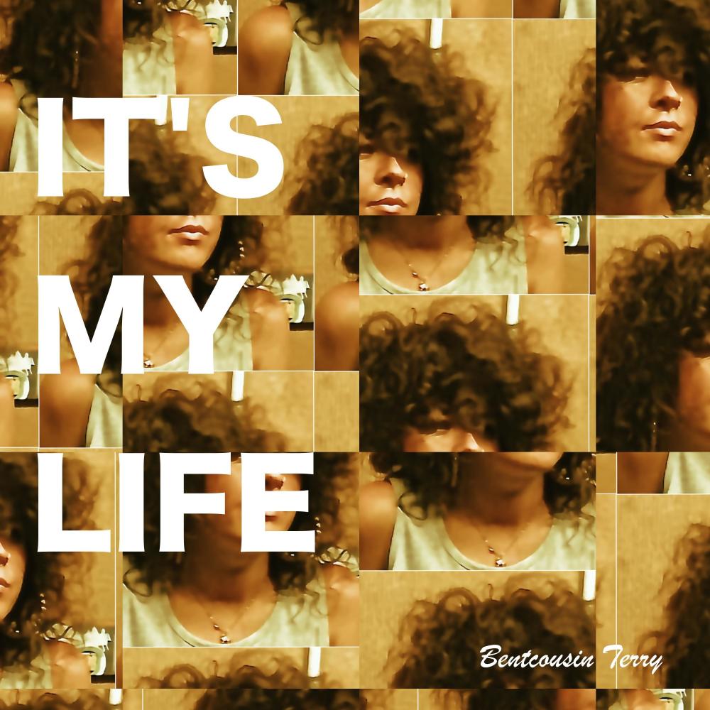 It's My Life 
