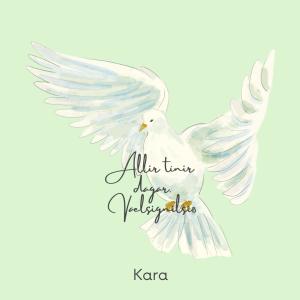 Album Allir tínir dagar from KARA