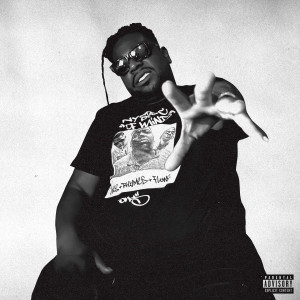 Album Bandz (Remix) from 