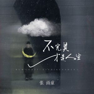 Listen to 不完美才是人生 (完整版) song with lyrics from 张雨童