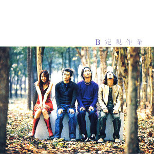 Album Irregular Works from 紫雨林