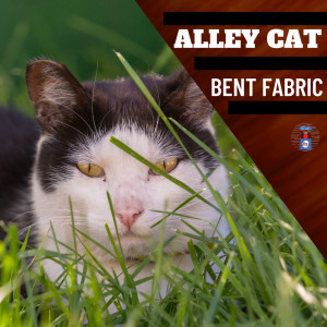 Listen to In the Arms of My Love song with lyrics from Bent Fabric