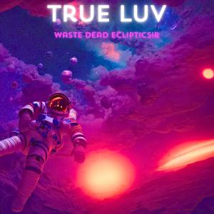 收聽Waste DEAD的TRUE LUV (feat. EclipticSir)歌詞歌曲