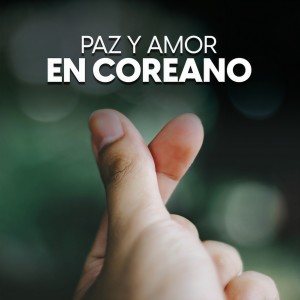 收聽SAAY的LOVE DROP歌詞歌曲