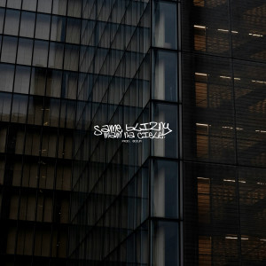 Album Same Blizny Mam Na Ciele (Explicit) from robak
