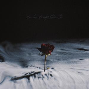 Album De la dragostea ta from Dianka