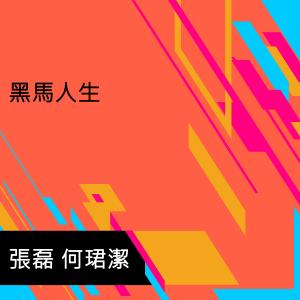 Album Hei Ma Ren Sheng from 张磊