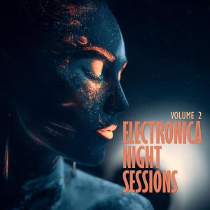 อัลบัม Electronica: Night Sessions, Vol. 2 ศิลปิน ดารานักร้องหลายคน