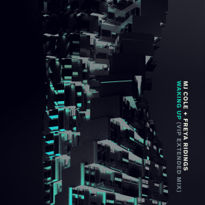 ดาวน์โหลดและฟังเพลง Waking Up (VIP Extended Mix) พร้อมเนื้อเพลงจาก Mj Cole