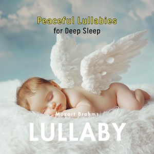 Listen to Étude Op. 10, No. 3 "Tristesse" song with lyrics from Mozart Brahms Lullaby