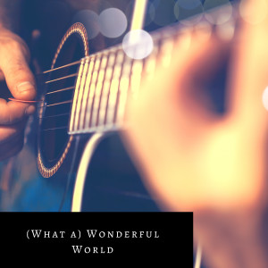 Dengarkan (What a) Wonderful World lagu dari Sam Cooke dengan lirik