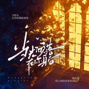 Album 当光倾落在你身后 from 