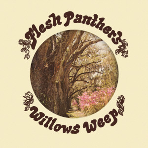 ดาวน์โหลดและฟังเพลง To the Bone พร้อมเนื้อเพลงจาก Flesh Panthers