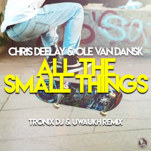 Listen to All the Small Things (Tronix DJ & Uwaukh Extended Remix) song with lyrics from Chris Deelay