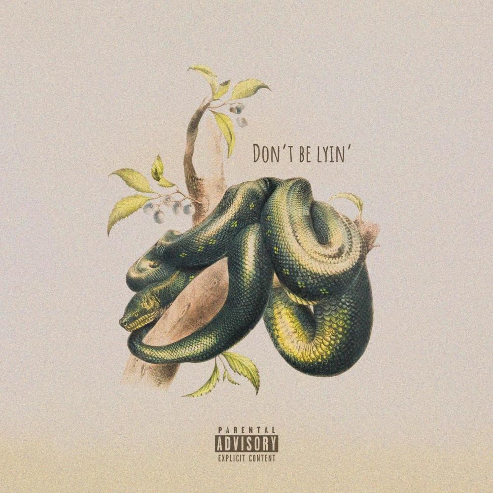 Don't Be Lyin' (feat. 4YD, Method Man & Redman) (Explicit)