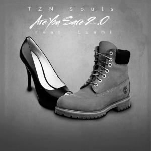 ดาวน์โหลดและฟังเพลง Are You Sure 2.0 (feat. Lwami) พร้อมเนื้อเพลงจาก TZN Souls