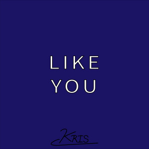 Listen to Like You song with lyrics from Jowy Los Catedrátikos