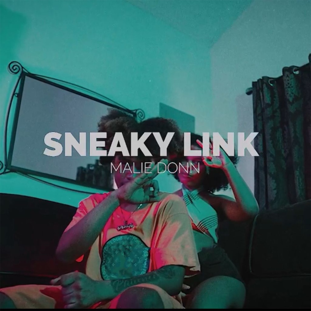 Sneaky Link