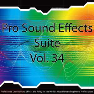 Pro Sound Effects Suite的專輯Pro Sound Effects Suite 34 - Voices, Vocals and Group Sounds
