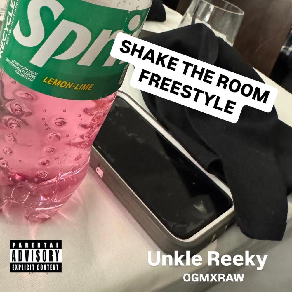 Shake Da Room Freestyle (Explicit)