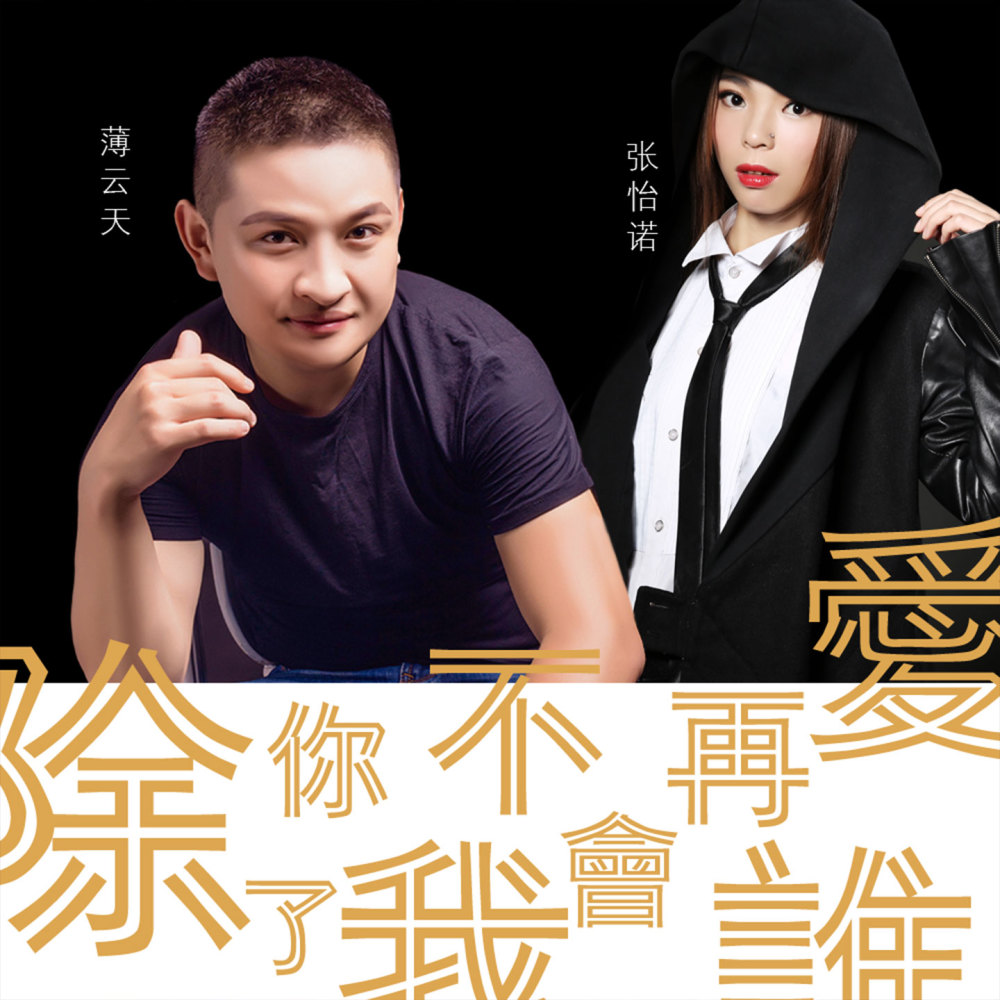 除了你我不会再爱谁 (DJ版伴奏)