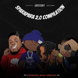 Album Sparapara 2.0 from Toxicated Keys