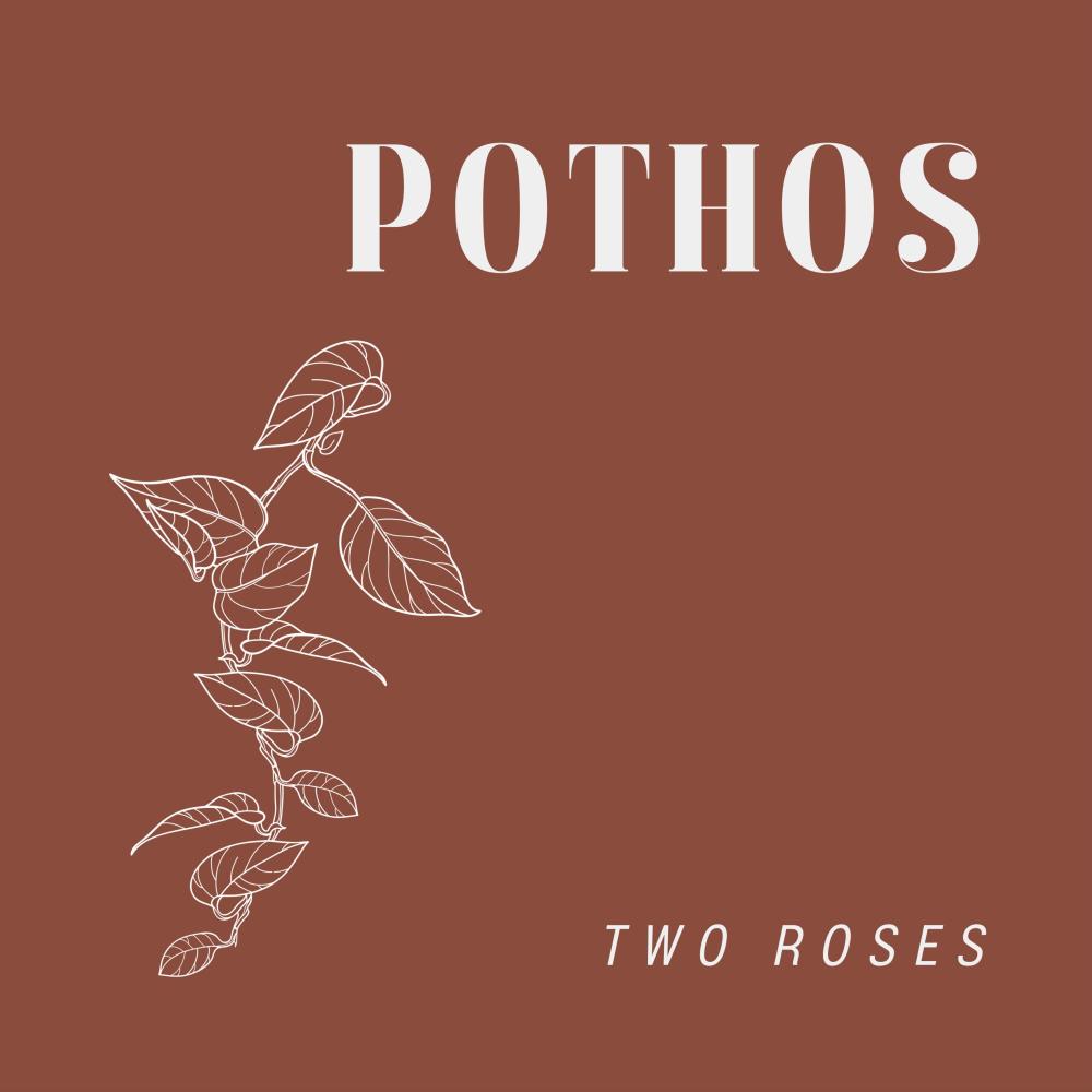 Pothos
