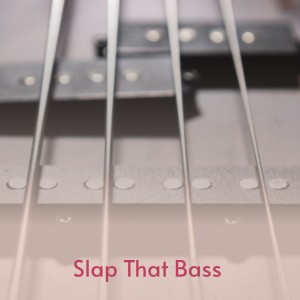 ดาวน์โหลดและฟังเพลง Slap That Bass พร้อมเนื้อเพลงจาก Ella Fitzgerald
