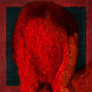 อัลบัม Unfamiliar Friends ศิลปิน Burning House