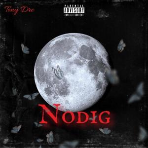 收聽Tonydre的Nodig (Explicit)歌詞歌曲
