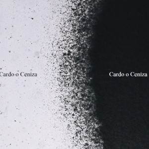 Listen to Fantasía de Tijeras song with lyrics from Miki Gonzalez