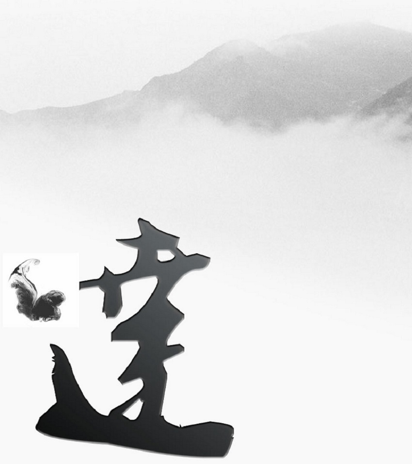 温柔的海盗
