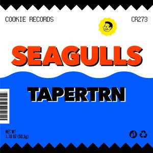 TapeRtrn的專輯Seagulls