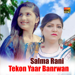 Album Tekon Yaar Banrwan from Salma Rani