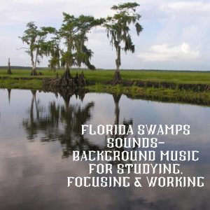 Florida Swamps Sounds- Background Music for Studying, Focusing & Working dari Natural Sounds Selections