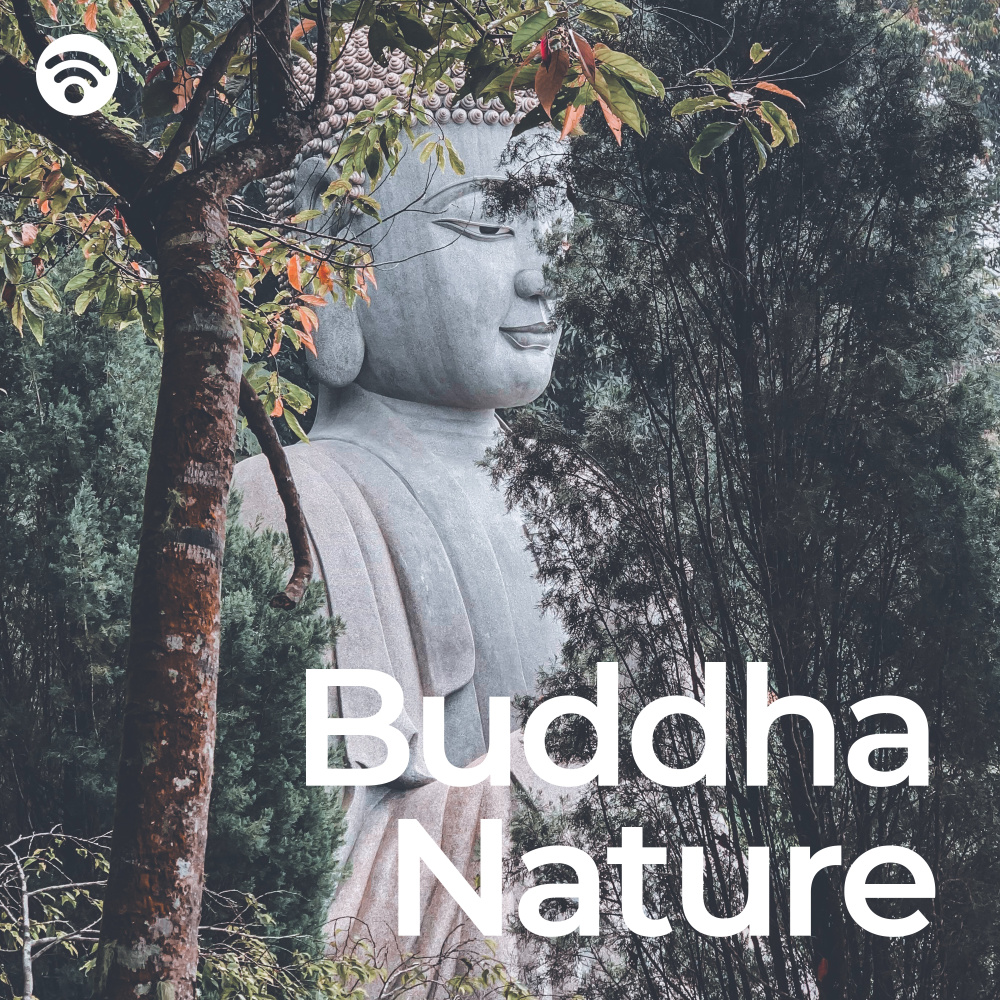 Solace in Buddha's Eternal Serenity