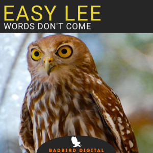 收聽Easy Lee的Lie To Me歌詞歌曲
