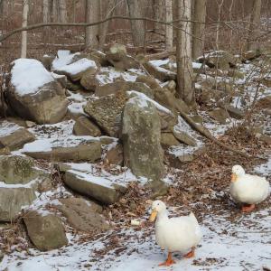 Dengarkan ugly lagu dari Lei dengan lirik