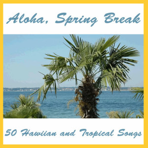 ดาวน์โหลดและฟังเพลง South Sea Island พร้อมเนื้อเพลงจาก The Hawaiians